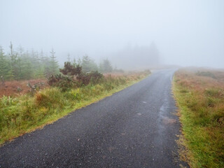 A small country foggy road with trees in the background. Dangerous driving conditions. Rural area in Ireland. Nature scene with mist. Nobody. Surreal mood and feel.