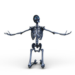 骸骨　3DCGレンダリング