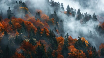 Autumnal colors in the region of Kranjska Gora, Slovenia