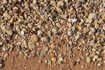 The coastline of the Red Sea. Sand, pebbles, corals, fossils. Background with a marine theme.