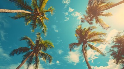 Looking up at blue sky and palm trees, view from below, vintage style, tropical beach and summer background, travel concept. 