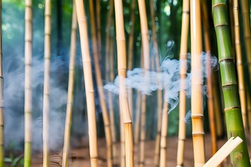 bamboo forest, wisps of smoke, tranquil atmosphere, natural beauty, green and yellow bamboo stalks, peaceful scenery, nature's calmness, forest details