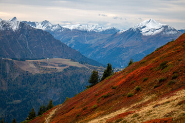 A hiking trail between Aiguillette des Houches and Les Houches in late October, France. 