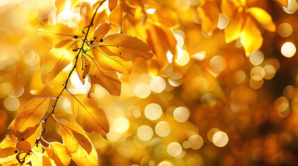 A closeup of golden autumn leaves, bathed in the warm glow of sunlight, creating an enchanting and inviting atmosphere