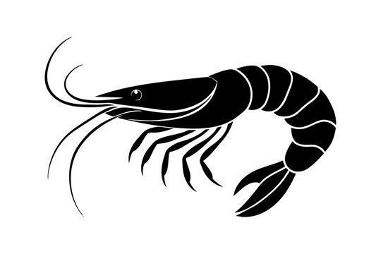 recommend clip art: shrimp silhouette vector illustration