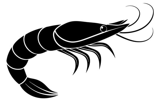 recommend clip art: shrimp silhouette vector illustration