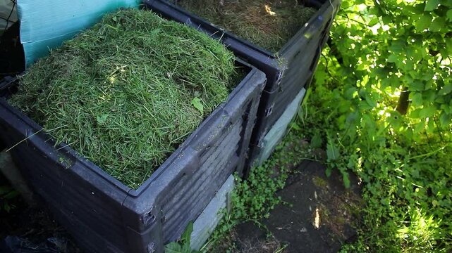 Garden waste compost bin with green mowing grass, outdoors in the garden 