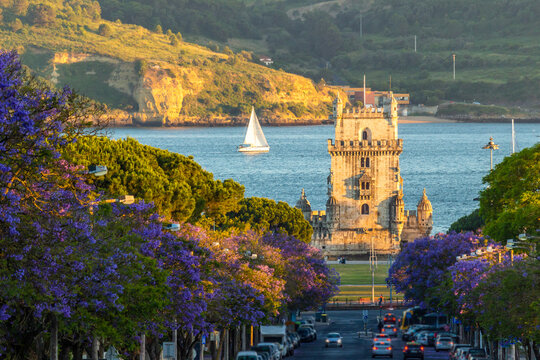Belem Tower, Jacaranda Blooming Purple Blue Trees and Sailboat on Sunny Evening. Golden Hour. Lisbon, Portugal.