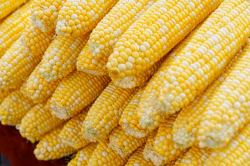 Fresh Pile of Yellow Corn Cobs at Outdoor Market During Daytime