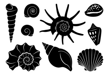 Black shells silhouettes collection in flat style. Isolated seashell shapes on white background. Vector illustration