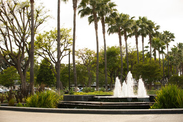 Palm lined view of a fountain in the civic center of downtown Paramount, California, USA.