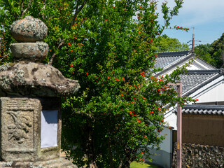【奈良公園】鬼子母神堂の石灯籠と柘榴の木