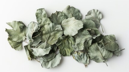 Obraz premium Jiaogulan dry leaves on a white background