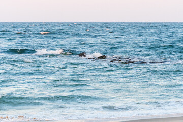 Avon By the Sea, New Jersey, USA - Golden hour sunrise looking at the Atlantic Ocean