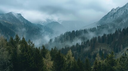 Forest covered mountain range under overcast skies - Powered by Adobe