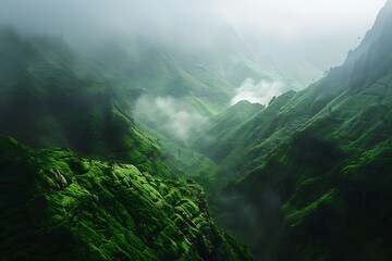 A lush green valley shrouded in mist.
