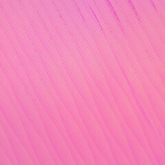 Pink squared banner background for poster, social media posts events and various design works