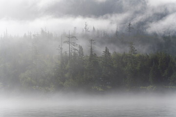 Vancouver island landscape in mist and fog along whale watching tour, Telegraph Cove, Canada.