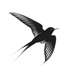 Silhouette of bird isolated on transparent background, cut out, png,