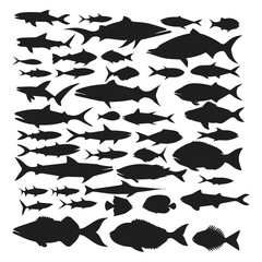 large collection of aquatic life vectors - fish silhouette collection Vector