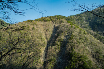 静岡県川根本町　寸又峡の景色　2024年春