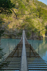 Obraz premium 静岡県川根本町 寸又峡の景色 2024年春