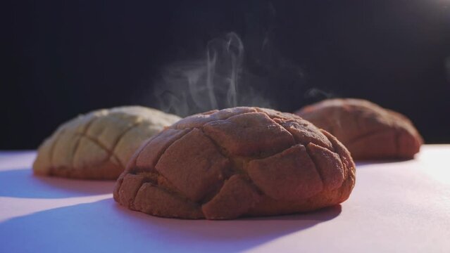 A variety of freshly baked chocolate conchas, a traditional Mexican sweet bread, arranged on a pink background.