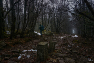 Hiking on moody path in atmospheric dark forest with boundary stones of former France and Germany...