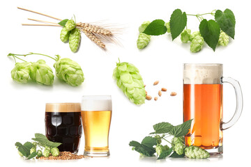 Set of beer, hops and barley on white background