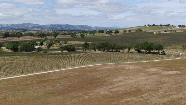 California Wine Country Paso Robles Vineyard Aerial Shot Farms Dolly R