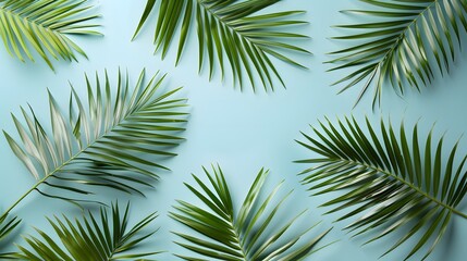 Fototapeta premium Summer composition. Palm leaves on pastel blue background. 