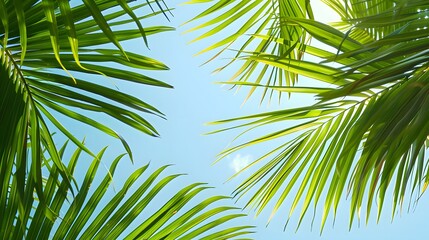 Summer composition. Palm leaves on pastel blue background. 