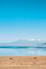 Sayram Lake Xinjiang