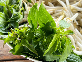 fresh basil and bean sprout in basket