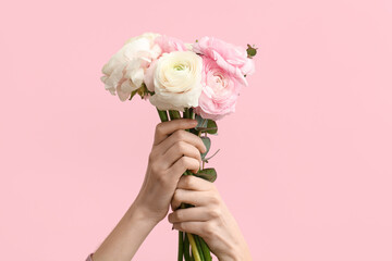 Female hands with beautiful bouquet of ranunculus flowers and eucalyptus on pink background