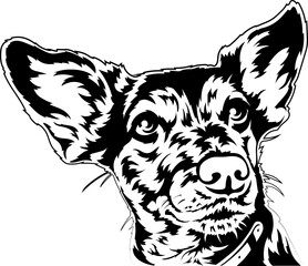 Adorable dog with big ears line art