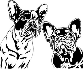 Adorable dogs french bulldog breed line art