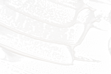 Foam texture swept over isolated white overlay