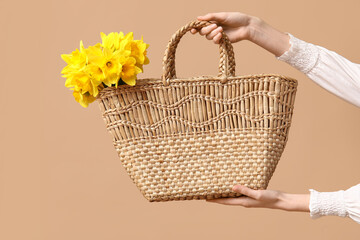 Female hands with wicker bag of beautiful narcissus flowers on beige background