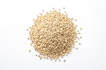 Job's Tears Grain Isolated on White Background