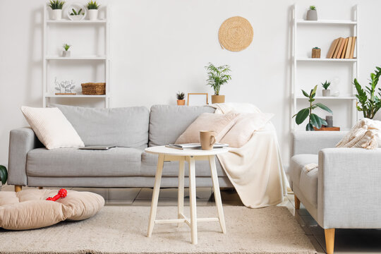 Interior of light living room with grey sofas and pet bed