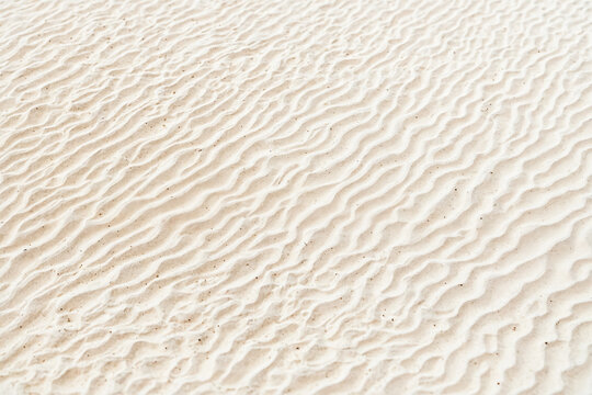 White Sand Dune Texture