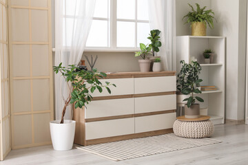 Interior of modern room with houseplants, window, shelving unit and chest of drawers