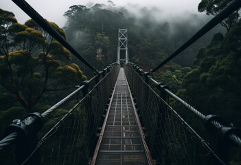Fototapeta premium Symmetrical Pathways Suspension Bridge into a Green Forest Landscape