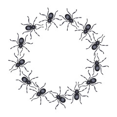 Black spiders round wreath frame. Creepy scary arthropod, tarantula weaves cobwebs, arachnophobia clipart. Happy Halloween. Spooky picture. Hand drawn watercolor illustration isolated background.