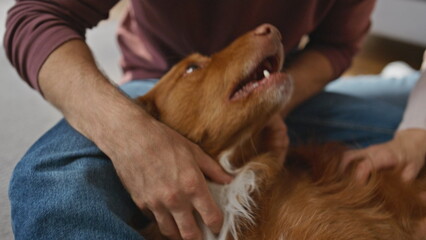 Couple hands caressing puppy lying on man knees close up. Family stroking dog