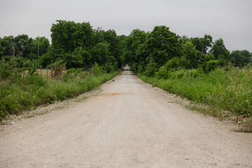 the dirt road leads up to the woods, grass and bushes, and a white