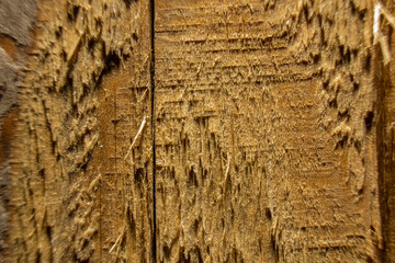 Detailed Wood Grain Texture Close Up