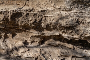 Alluvium / Sand and gravel, Salt weathering / Alcove (landform) Older dune deposits / Sand dunes / Well-sorted calcareous sand, Diamond Head Rd, Honolulu Oahu Hawaii geogoly.  two Stratum
