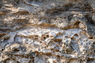 Alluvium / Sand and gravel, Salt weathering / Alcove (landform) Older dune deposits / Sand dunes / Well-sorted calcareous sand, Diamond Head Rd, Honolulu Oahu Hawaii geogoly.  two Stratum